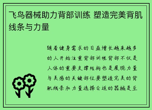 飞鸟器械助力背部训练 塑造完美背肌线条与力量