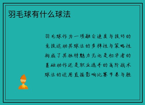 羽毛球有什么球法